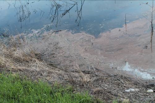 Суд поддержал иск Уральского управления Росприроднадзора о взыскании с АО «Водный Союз» более 7 млн рублей возмещение вреда, причиненного загрязнением земель